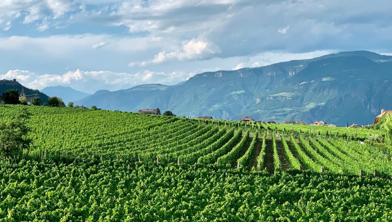 Weingut Gasshof Leilighet Appiano Sulla Strada Del Vino Eksteriør bilde